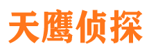 临川市侦探调查公司